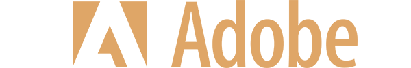 Technology Partner 2